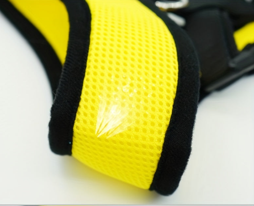 Harnais chien-LOVE Paw