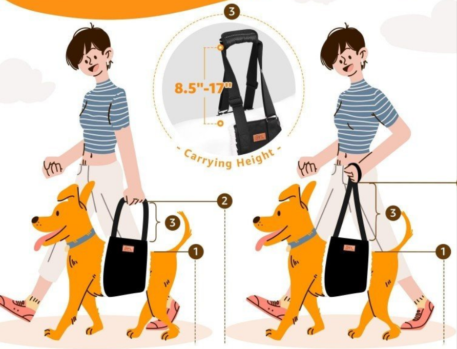 Harnais pour chien-Aide portable