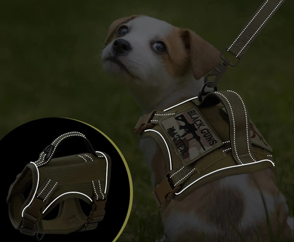 Harnais anti traction chien- EASTONG