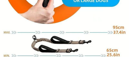 Laisse pour chien- Double rallonge anti-choc
