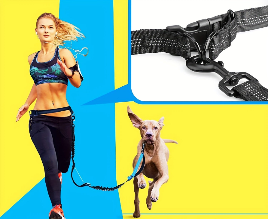 Double Laisse pour chien- Laisses mains libres pour chiens