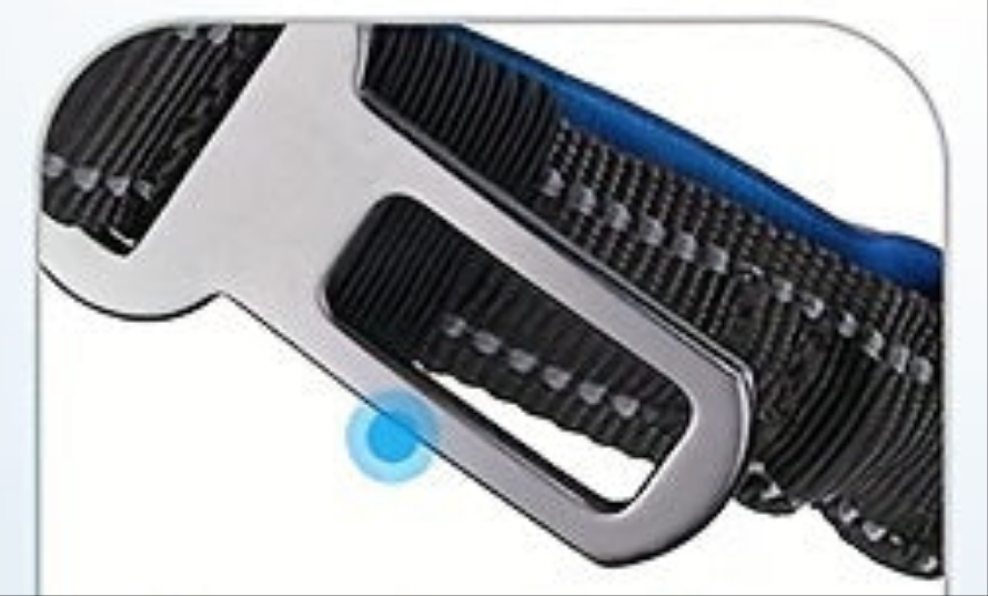 Laisse de chien- Bungee anti traction