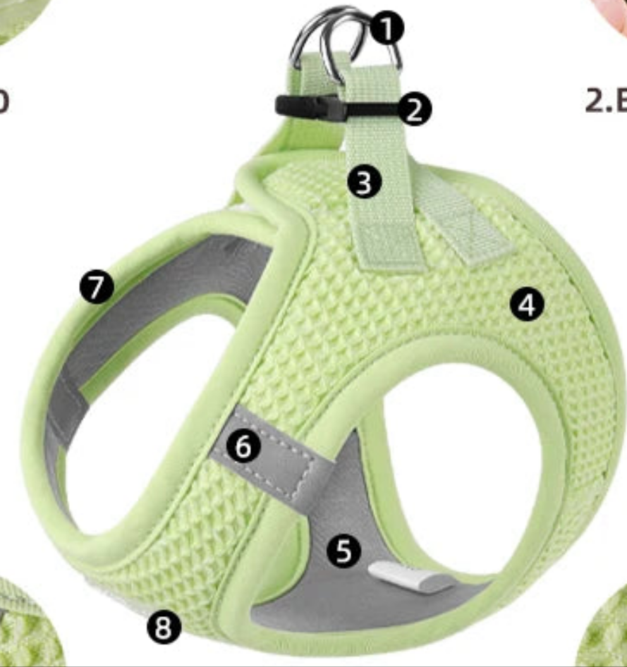 Harnais chien- Breathable Waffle Pet Set