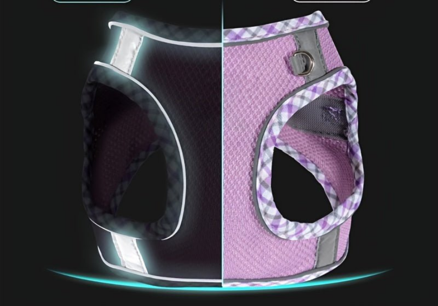 Harnais chien- Adventures Parfaites