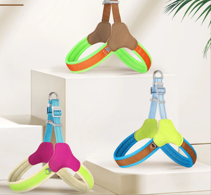 Harnais chien anti traction- Didog Couleur Vive