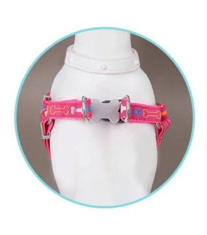 Harnais chien- Colorful bone tripod