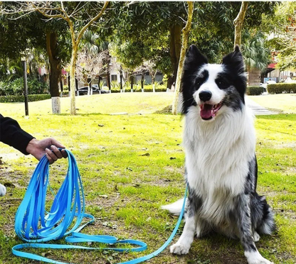 Longe pour chien-PVC imperméable