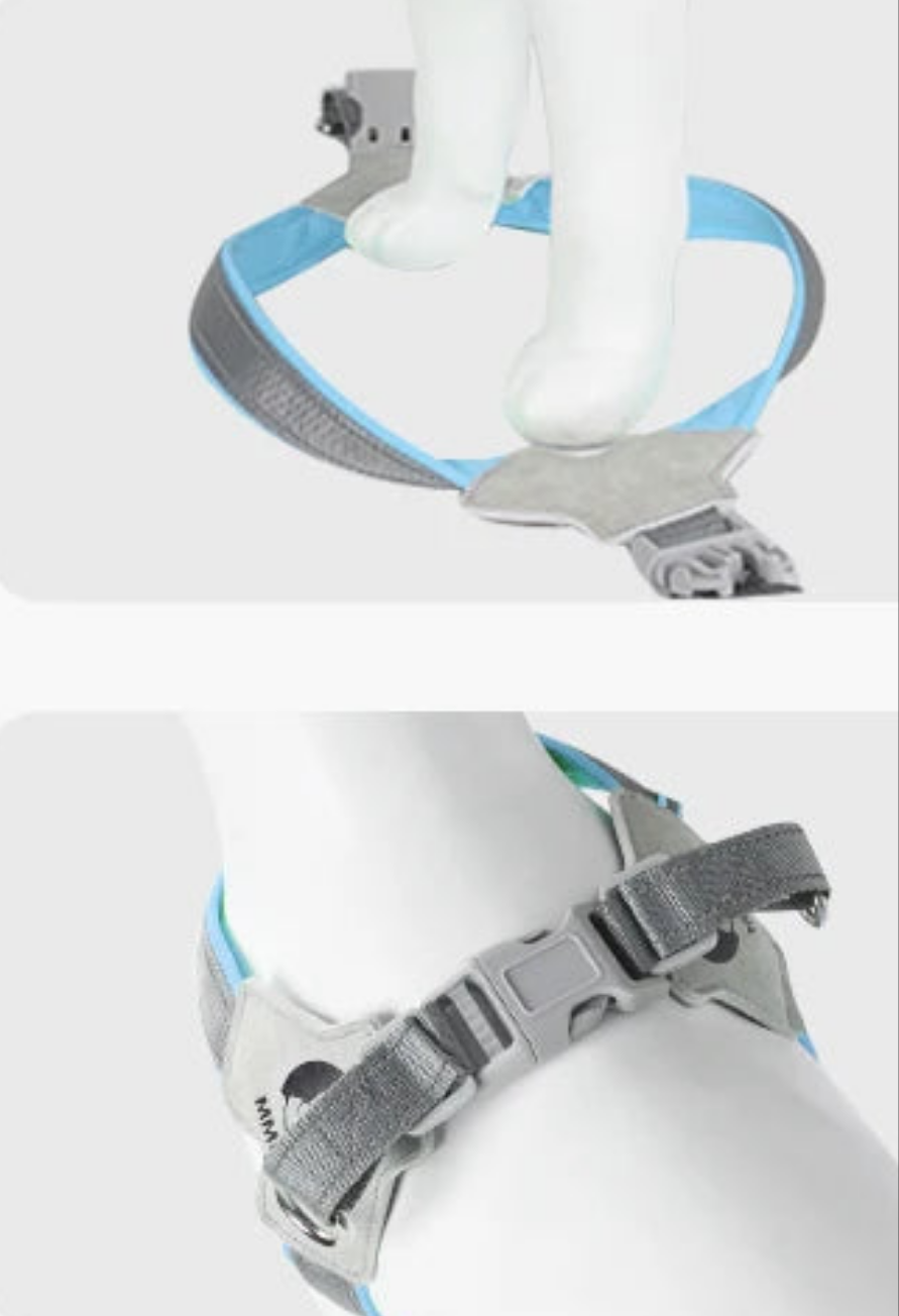 Harnais chien anti traction- Holapet