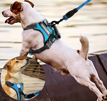 Harnais anti traction chien- Ensemble Service Dog