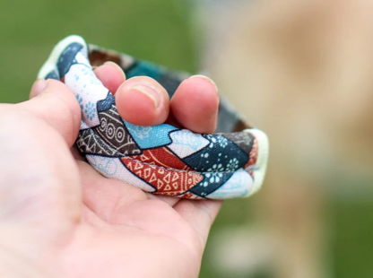 Collier de dressage pour chien- Confortable Extensible