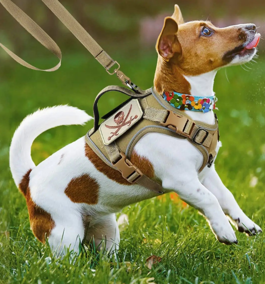 Harnais anti traction chien- EASTONG