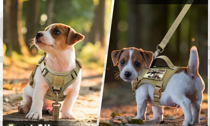 Harnais anti traction chien- EASTONG