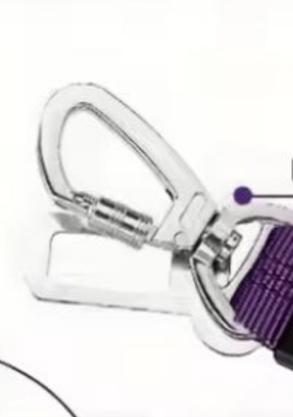 Laisse pour chien- Duo auto Pratico