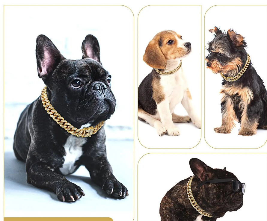 Collier chien- Rhinestone Gold Dog Chain