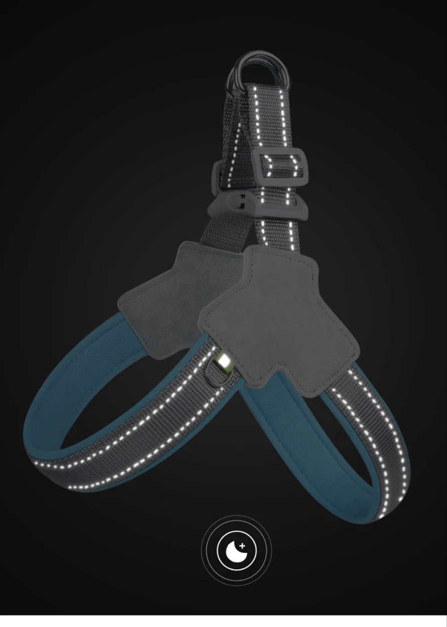 Harnais chien anti traction- Holapet