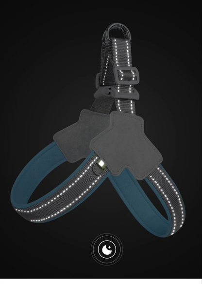 Harnais chien anti traction- Holapet