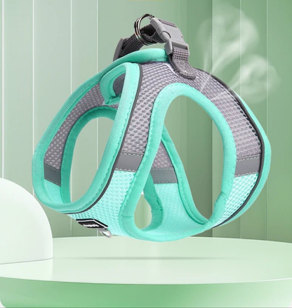 Harnais chien- Le Petit Respirant