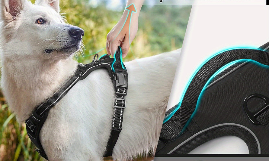Harnais chien anti traction- Vest ensures Easy Control