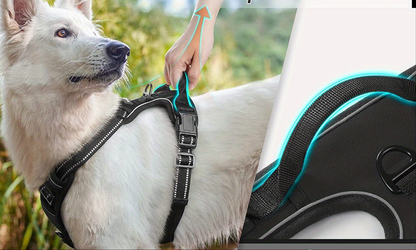 Harnais chien anti traction- Vest ensures Easy Control