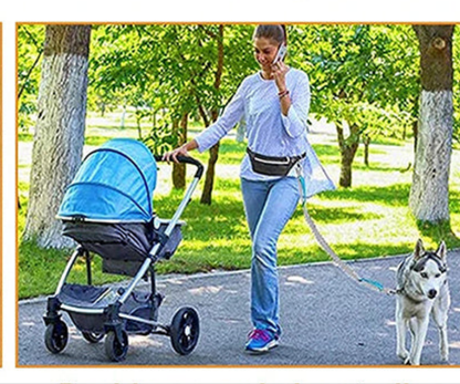 Laisse de chien- Ultimate Comfort