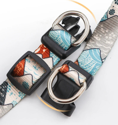 Collier de dressage pour chien- Confortable Extensible