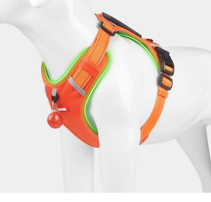 Harnais chien anti traction- Sangle de poitrine style gilet
