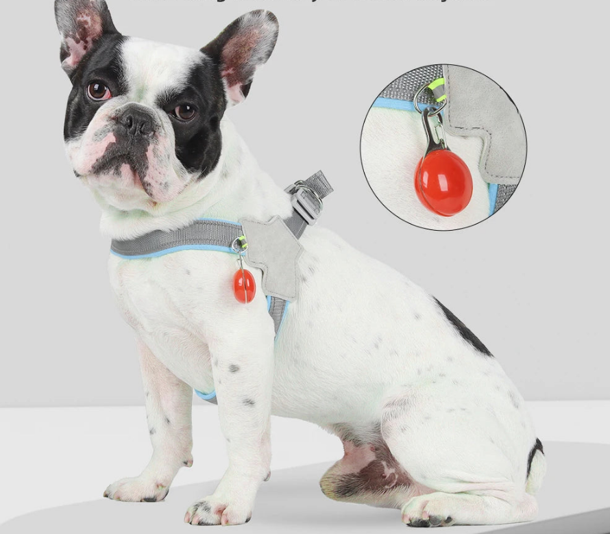 Harnais chien anti traction- Holapet