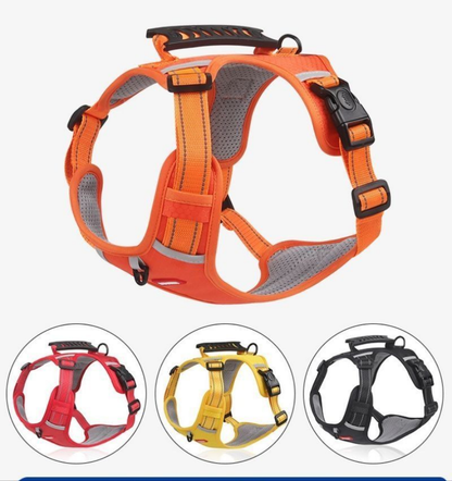 Harnais chien anti traction- Sangle de poitrine style gilet