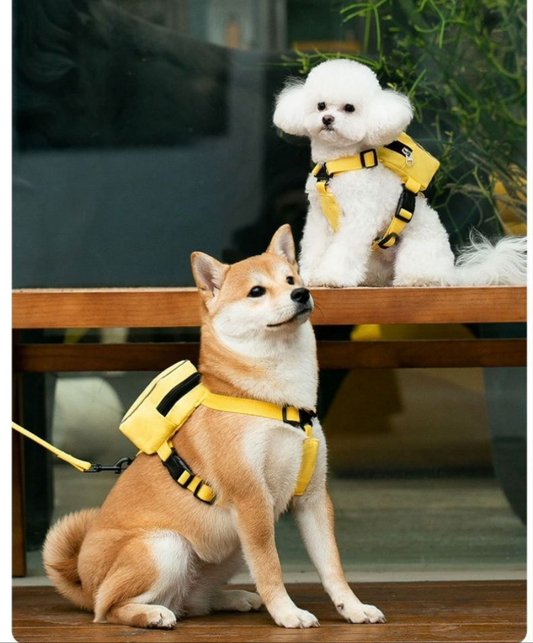Laisse Sac a dos chien-Gilet sac à dos