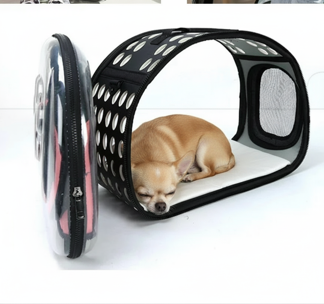 Caisse de transport chien INSIS FEMME