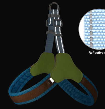 Harnais chien anti traction- Didog Couleur Vive