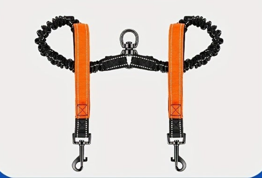 Laisse pour chien- Laisse Double Poop Bag