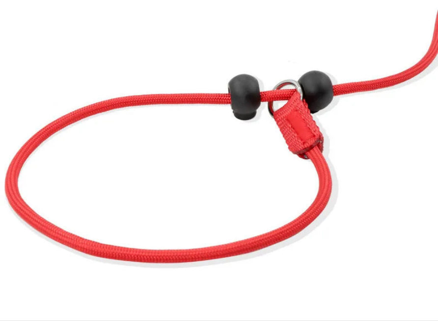 Laisse pour chien JANPET Choking Rope
