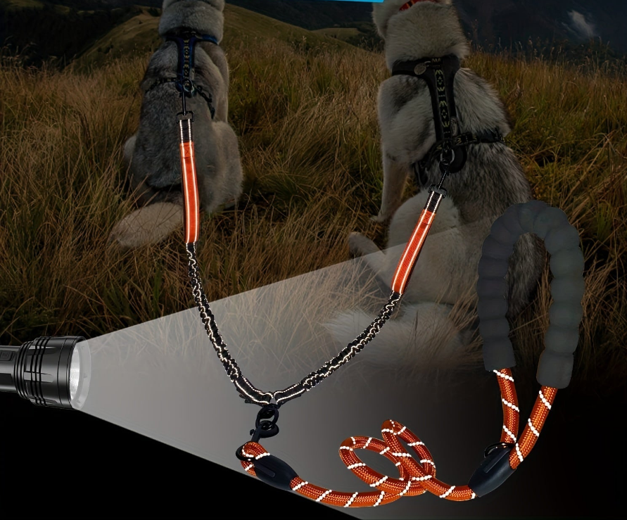 Laisse pour chien- Laisse Double Poop Bag