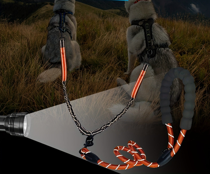 Laisse pour chien- Laisse Double Poop Bag