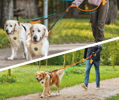 Laisse pour chien- Laisse Double Poop Bag