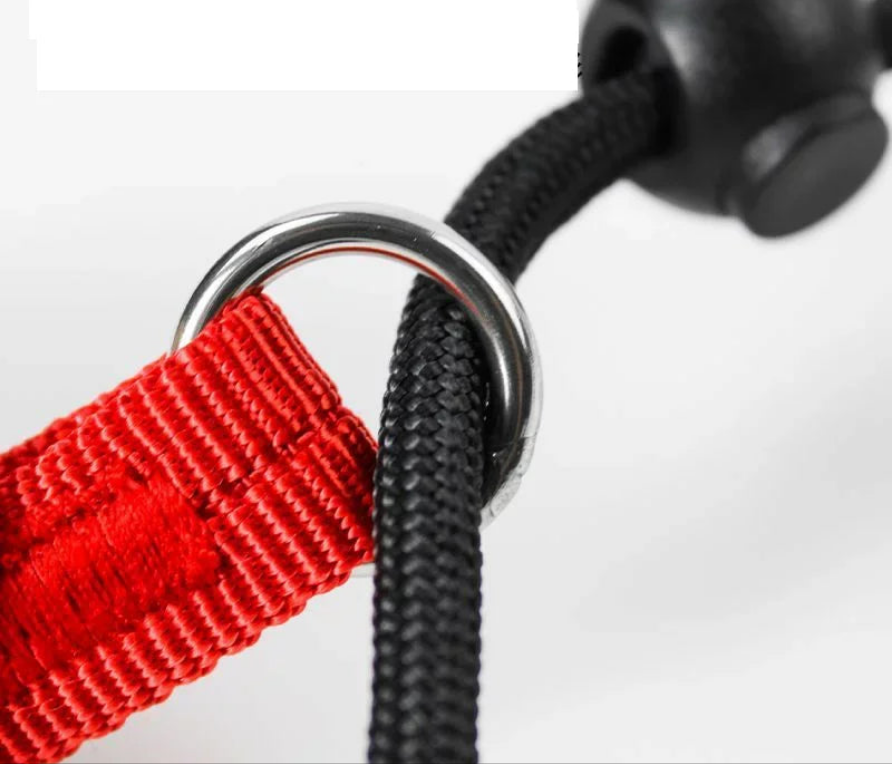 Laisse pour chien JANPET Choking Rope