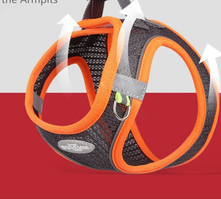 Harnais chien- Pawstrip Set