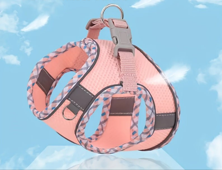 Harnais chien- Adventures Parfaites