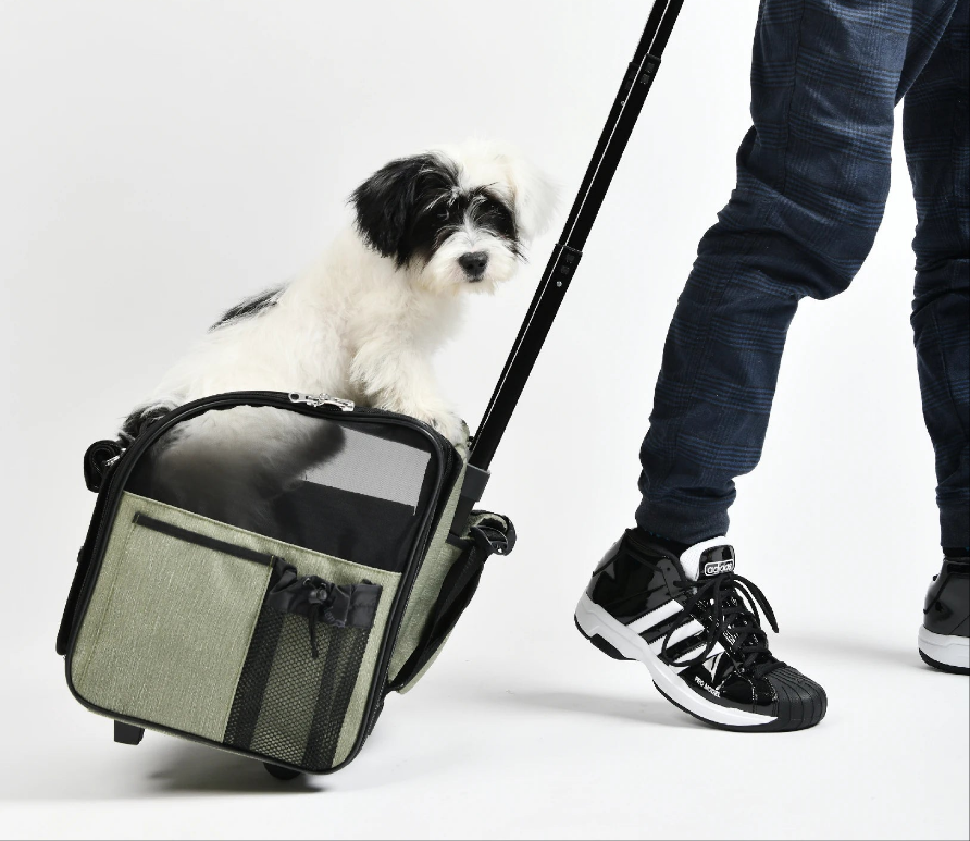 Sac a dos chien Travel House Suitcase
