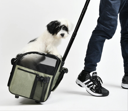 Sac a dos chien Travel House Suitcase