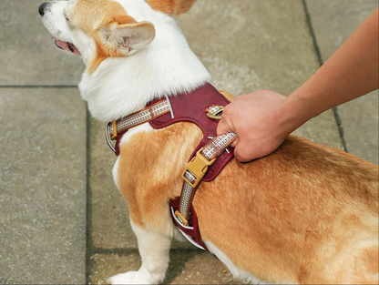 Harnais chien-Waterproof PU