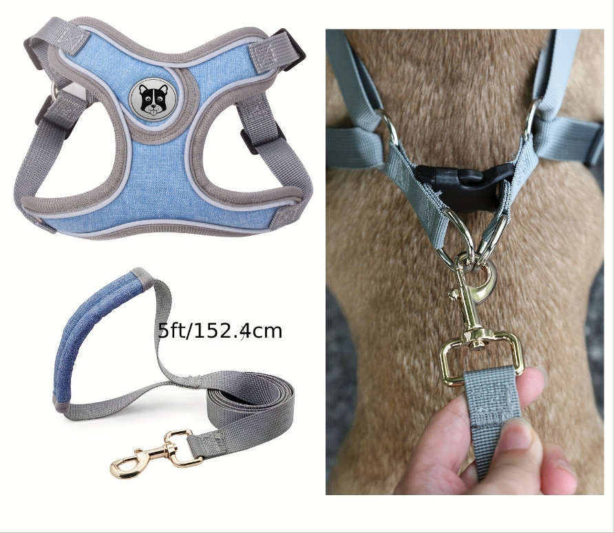 Laisse de chien- Bulldog Laisse- Harnais pour chien