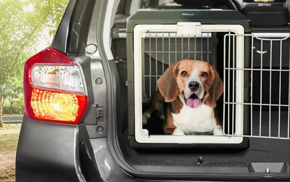 Cage transport chien- Crate-Premium Collapsible Design for Medium