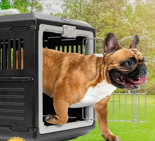 Cage transport chien- Crate-Premium Collapsible Design for Medium