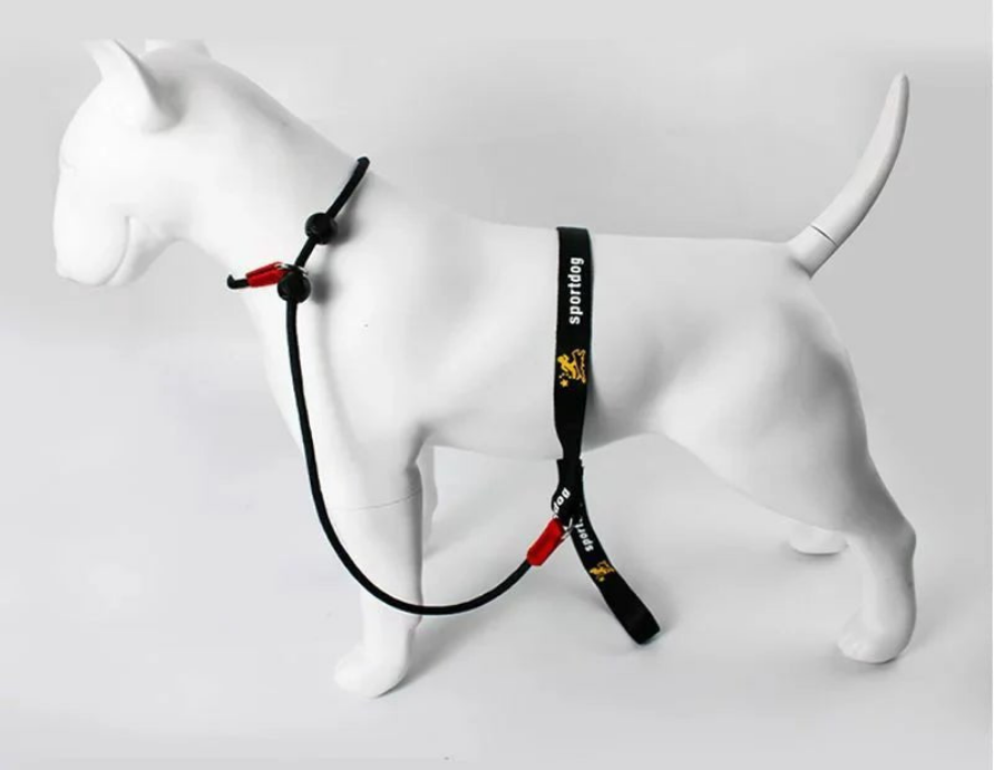 Laisse pour chien JANPET Choking Rope