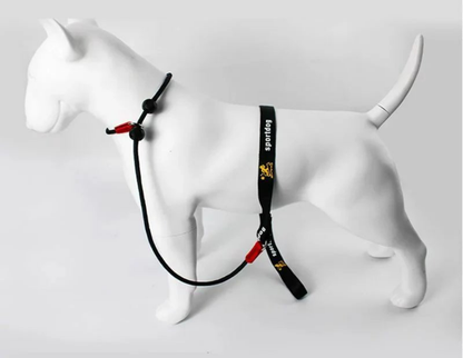 Laisse pour chien JANPET Choking Rope