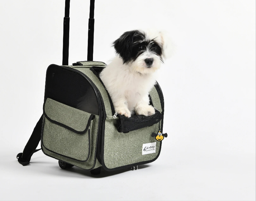 Sac a dos chien Travel House Suitcase