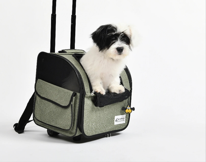 Sac a dos chien Travel House Suitcase