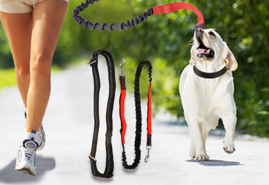 Laisse de chien- Ultimate Comfort